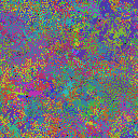 World at epoch 49000
