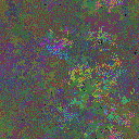 World at epoch 49000