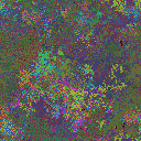 World at epoch 51000