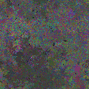 World at epoch 25000