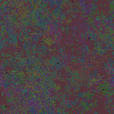 World at epoch 49000