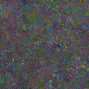 World at epoch 49000