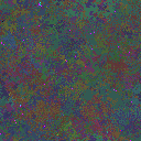 World at epoch 49000