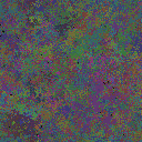 World at epoch 25000