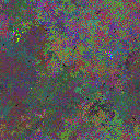 World at epoch 23000