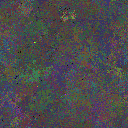 World at epoch 39000