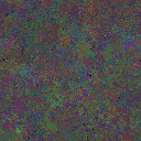 World at epoch 40000