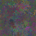 World at epoch 25000