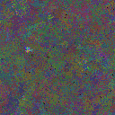 World at epoch 30000