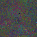 World at epoch 48000