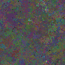 World at epoch 35000