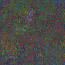 World at epoch 50000