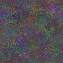 World at epoch 37000