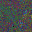 World at epoch 51000
