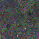 World at epoch 40000