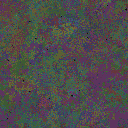 World at epoch 34000