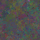World at epoch 50000