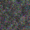 World at epoch 5000