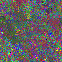 World at epoch 24000