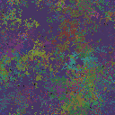 World at epoch 37000