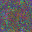 World at epoch 31000