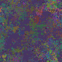 World at epoch 40000