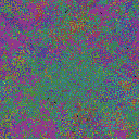 World at epoch 40000