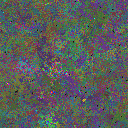 World at epoch 26000