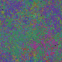 World at epoch 45000