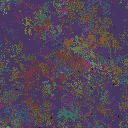 World at epoch 48000
