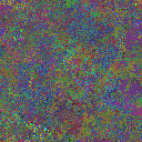 World at epoch 40000
