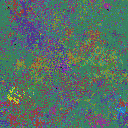 World at epoch 49000