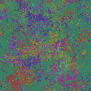 World at epoch 50000