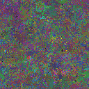 World at epoch 40000