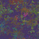 World at epoch 55000