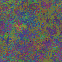 World at epoch 50000