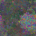 World at epoch 22000