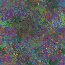 World at epoch 25000