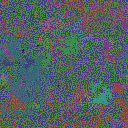 World at epoch 35000
