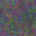 World at epoch 31000