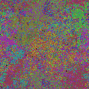 World at epoch 29000