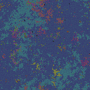 World at epoch 40000