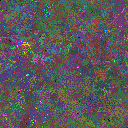 World at epoch 29000