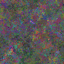 World at epoch 25000