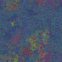 World at epoch 38000