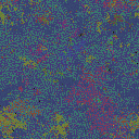 World at epoch 39000