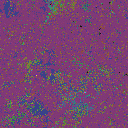 World at epoch 35000
