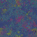 World at epoch 40000