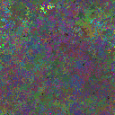 World at epoch 40000