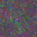 World at epoch 35000